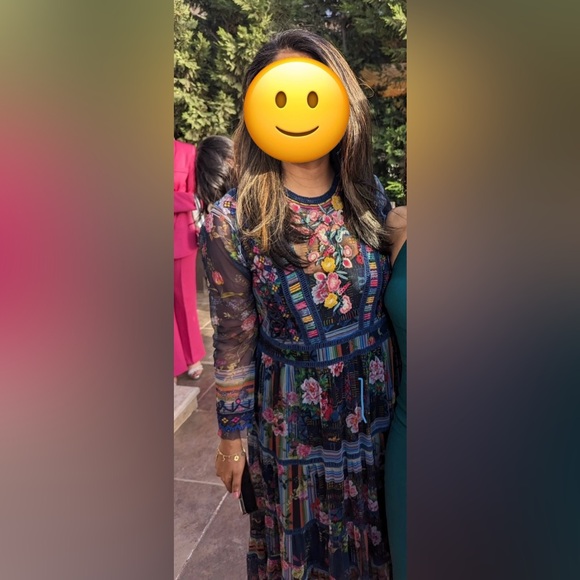 Johnny Was Dayana Gorgeous Mesh Maxi Dress - Picture 4 of 4